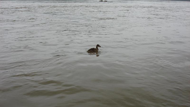 My high water friend2.JPG